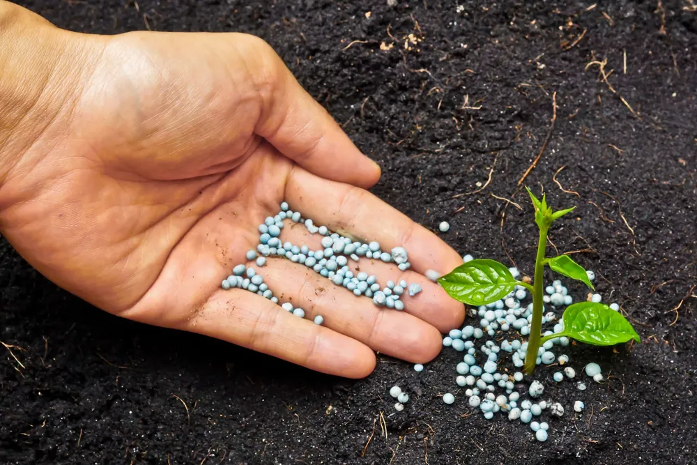 XCB-EPd-fertilizantes-0-23854966_m-1543512279