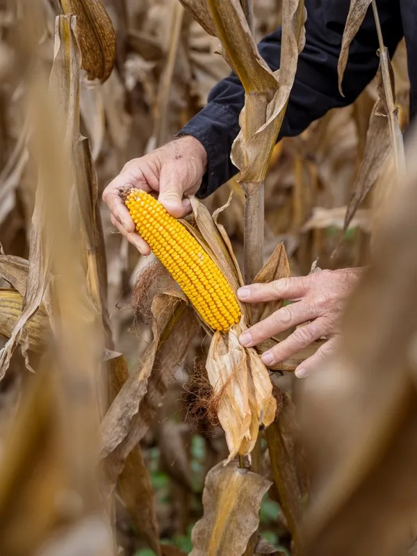 WhatsApp Image 2024-04-15 at 3.58.34 PM