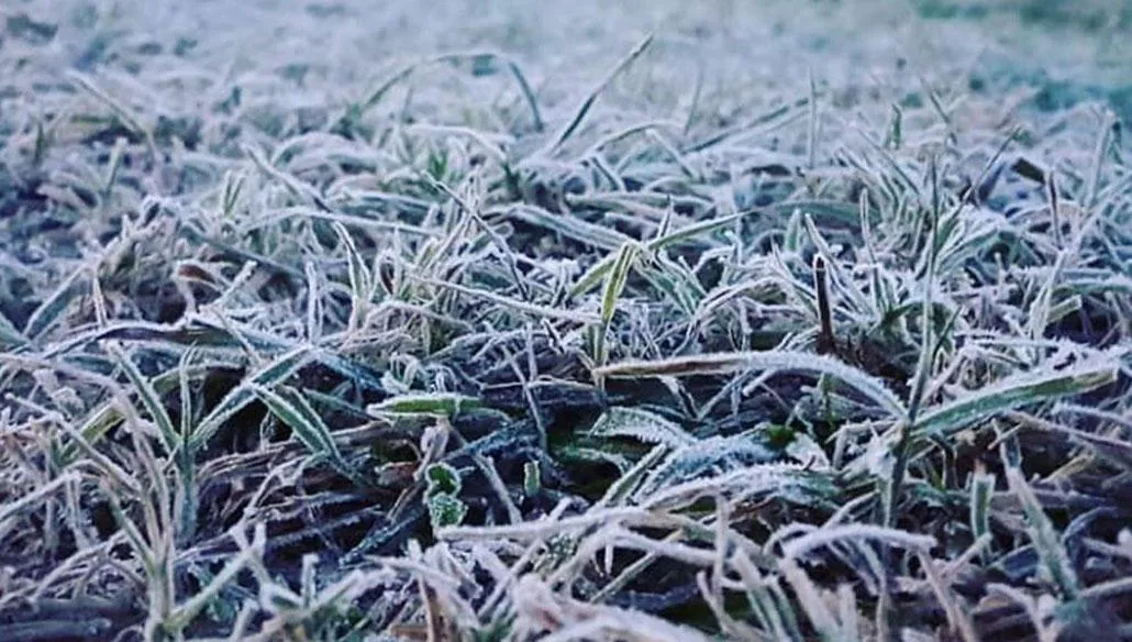 multimedia.normal.810adcd9bbb30e68