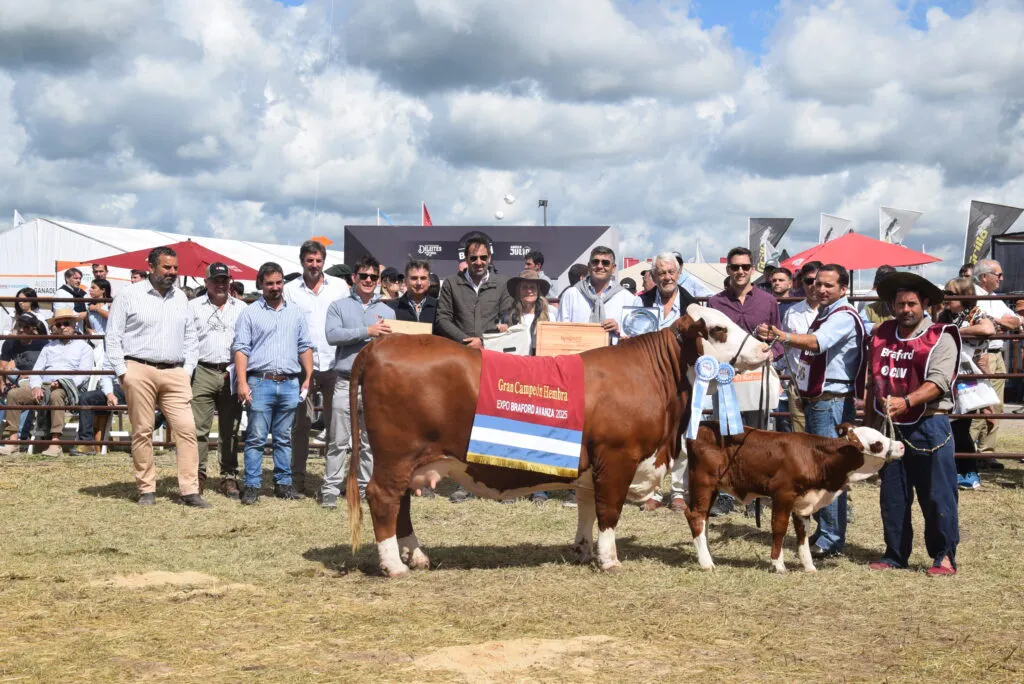 Gran-Campeon-Hembra-Cabanas-PIlaga-y-San-Vicente-1024x684