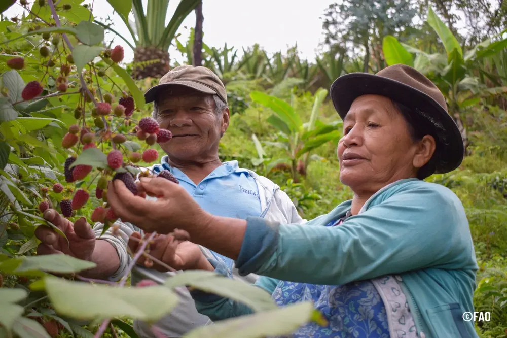 WhatsApp Image 2023-11-09 at 13.53.41