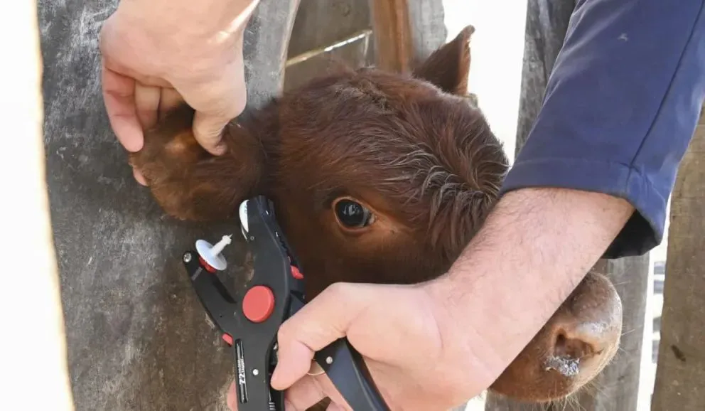 WhatsApp Image 2025-11-19 at 9.24.36 PM