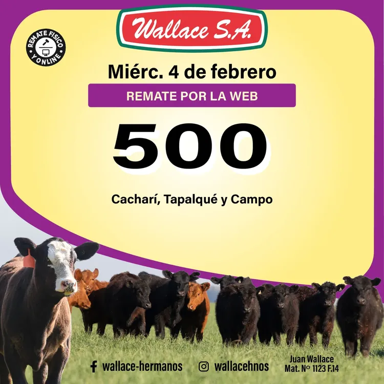 WhatsApp Image 2026-01-08 at 1.12.09 PM