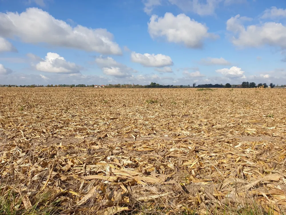 view-dry-grass-valley-cloudy-sky-scaled