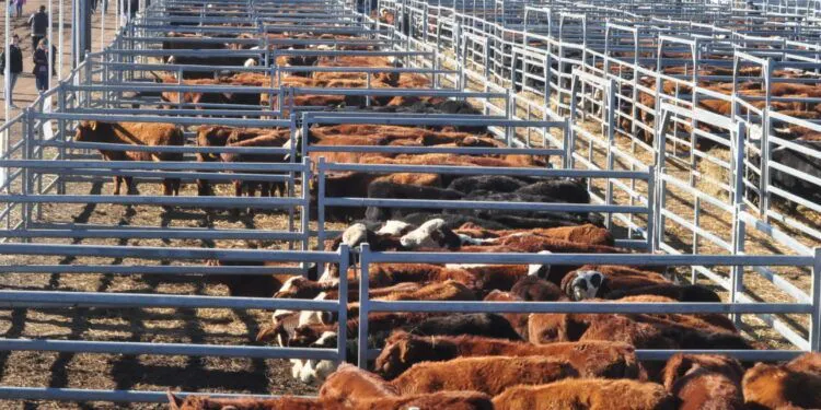 hacienda-en-corrales-750x375