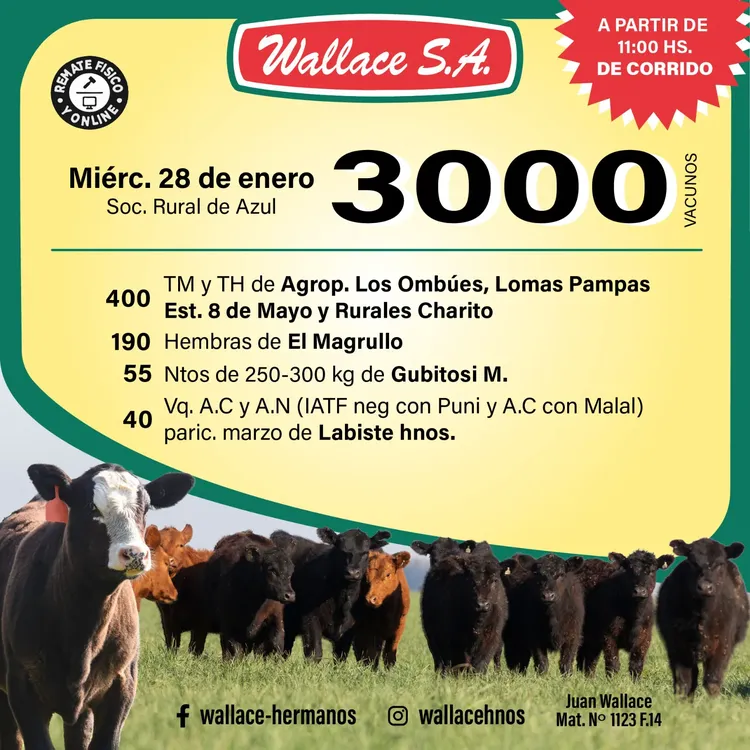 WhatsApp Image 2026-01-26 at 1.16.21 PM