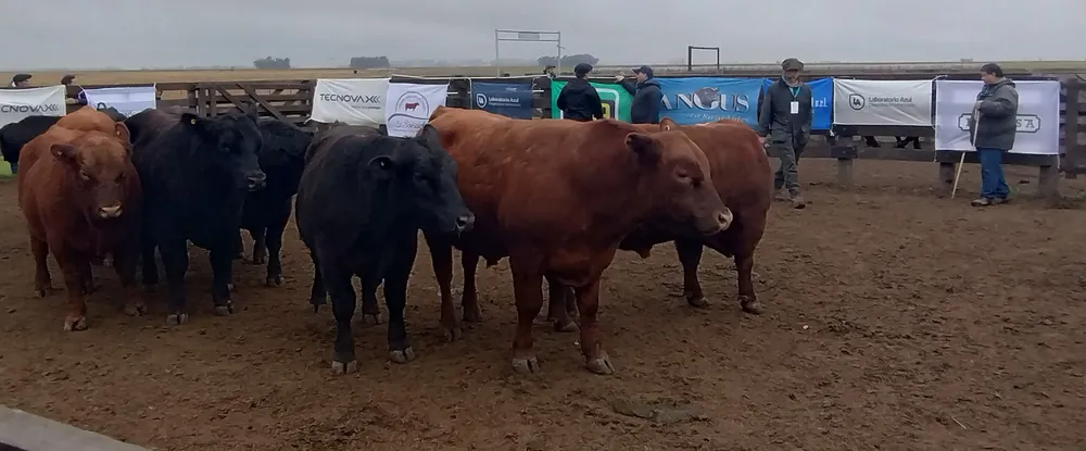 IMG_20240806_115344312_HDR