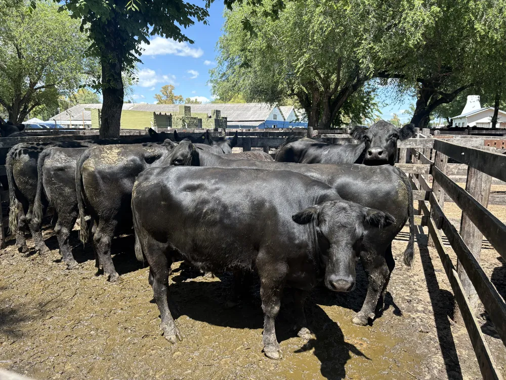 REMATES - CALENDARIO DE MARZO 2026