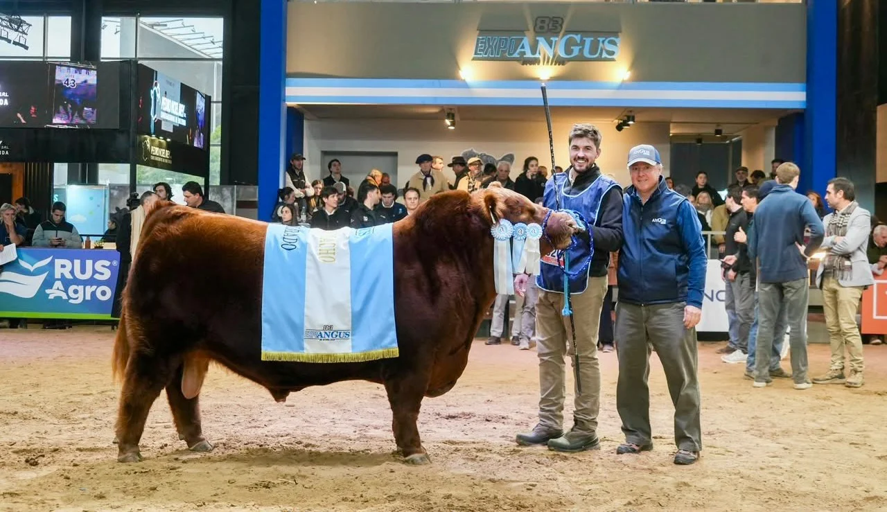 ALVARO13
