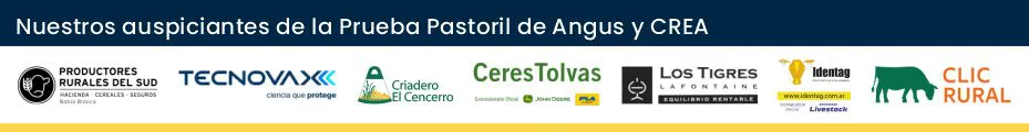banners auspiciantes 2° Prueba Pastoril 2