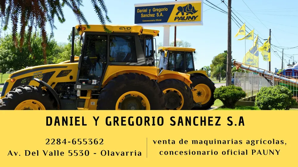 DANIEL Y GREGORIO SANCHEZ S.A