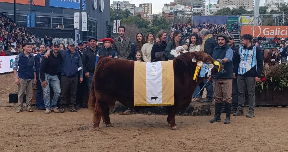 ALVARO10