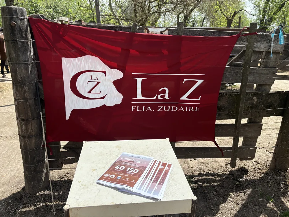 LA Z