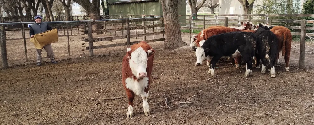 IMG_20240718_153608357