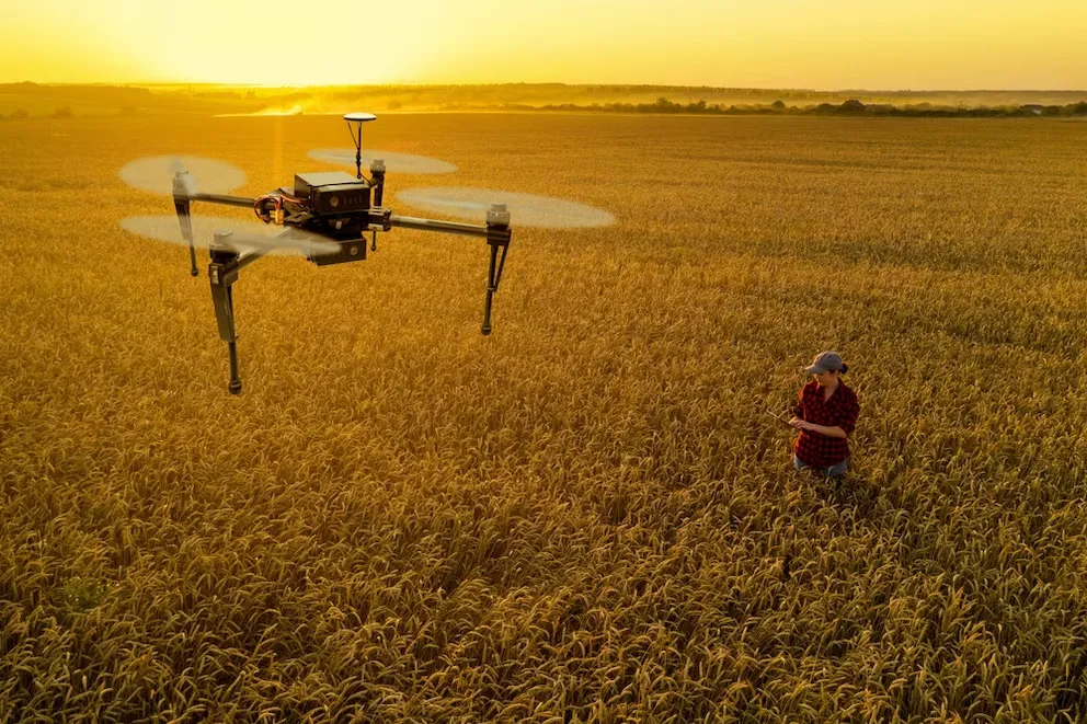 Drone