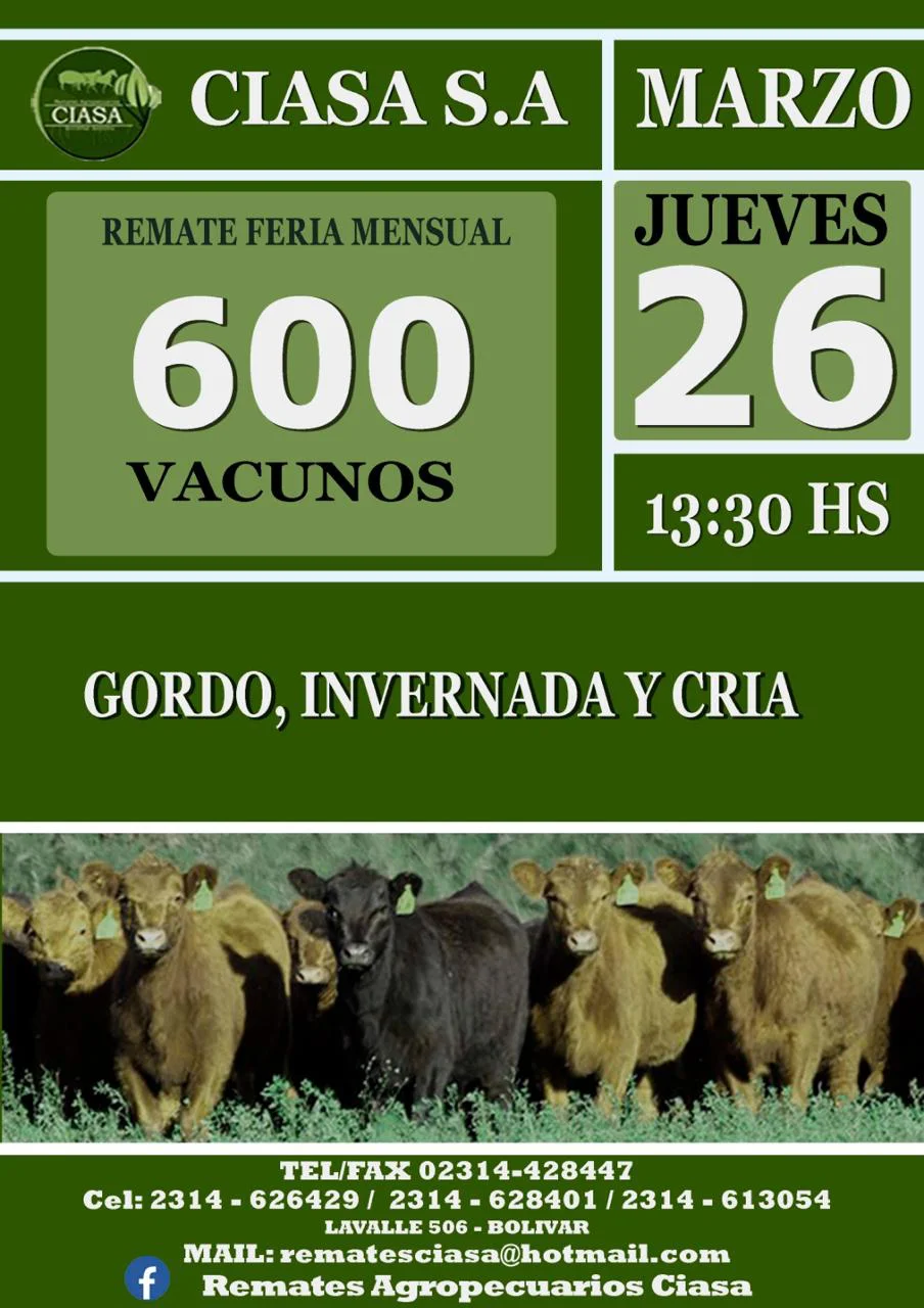 WhatsApp Image 2026-03-04 at 9.57.47 PM