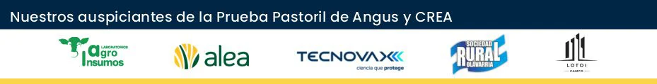 BANNER 3 - PRUEBA PASTORIL 2026