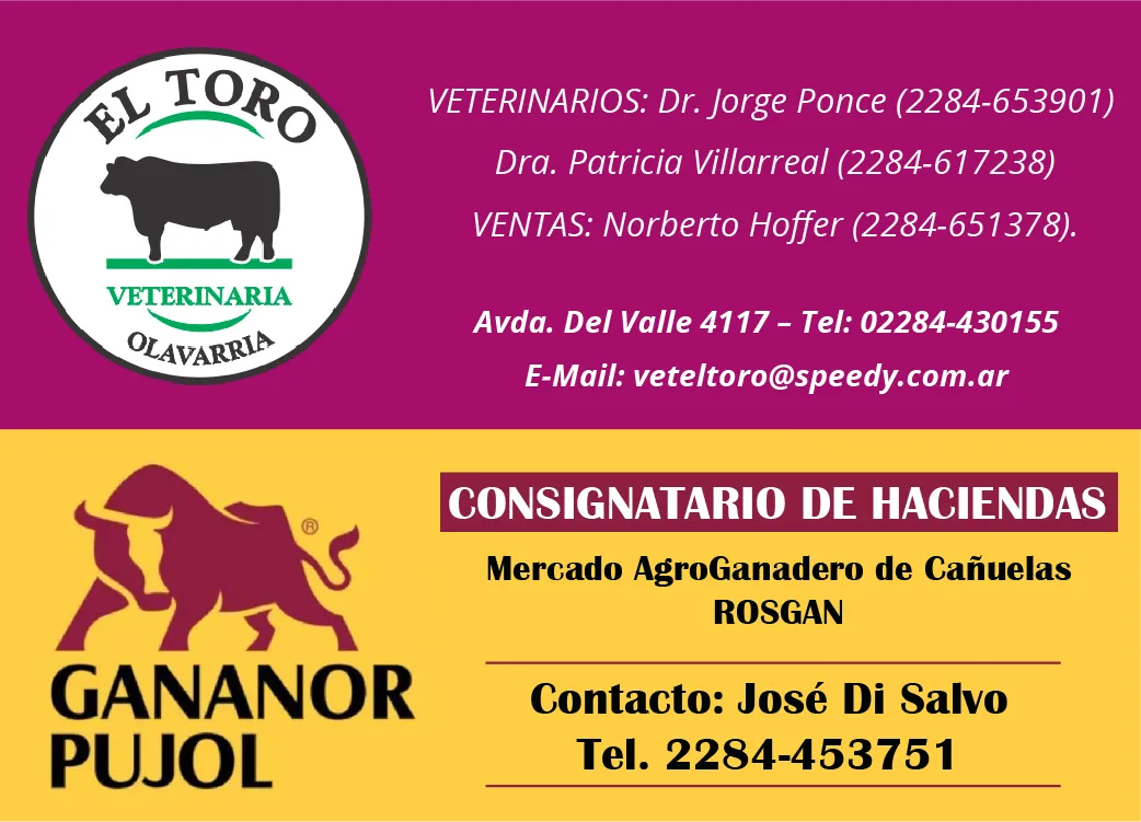 toro y gananor_Mesa de trabajo 1