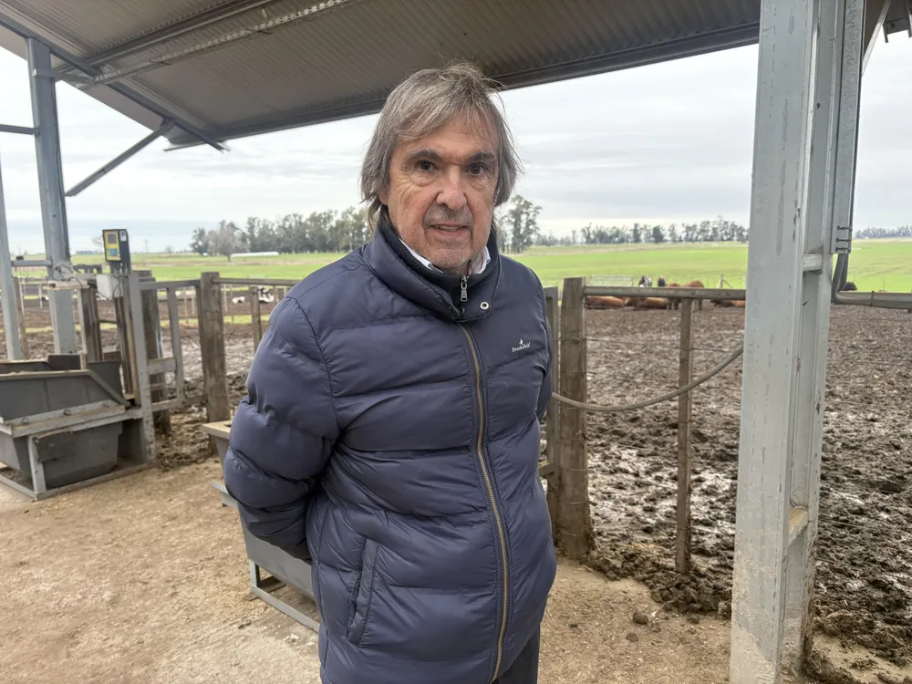 RAMON ECHECHIQUIA - LA BLANQUEADA - LIMANGUS