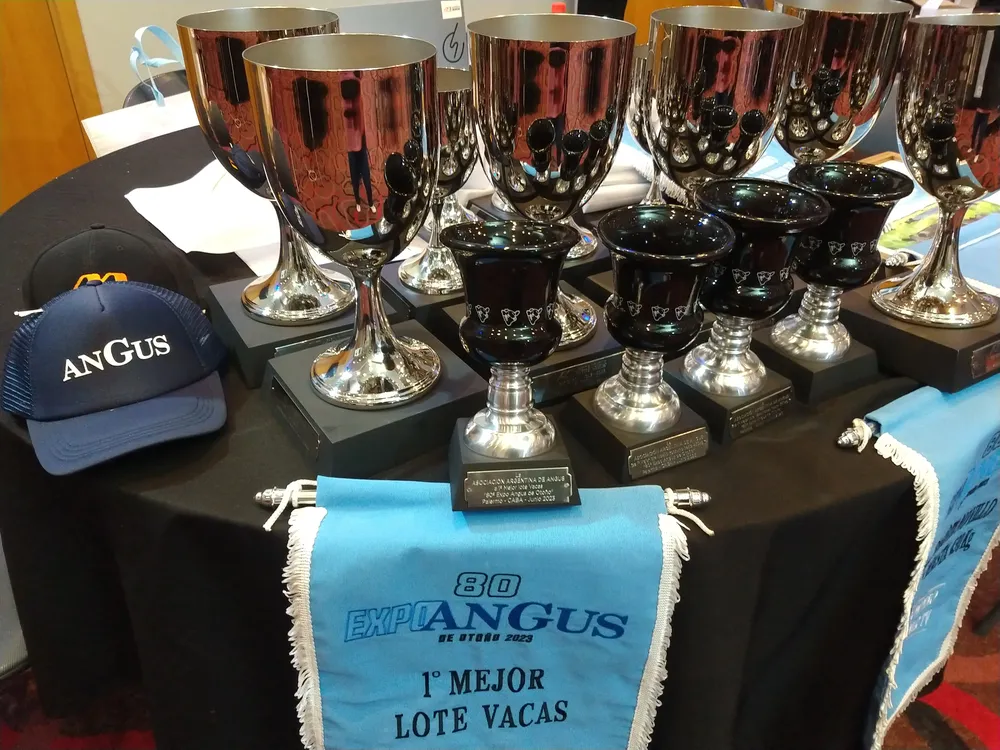 ANGUS8