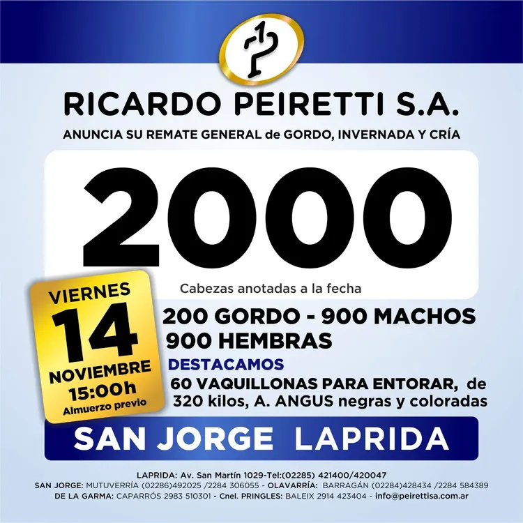 WhatsApp Image 2025-11-12 at 11.37.12 AM