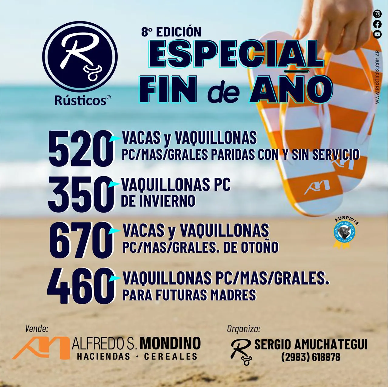 WhatsApp Image 2025-11-26 at 7.08.46 PM