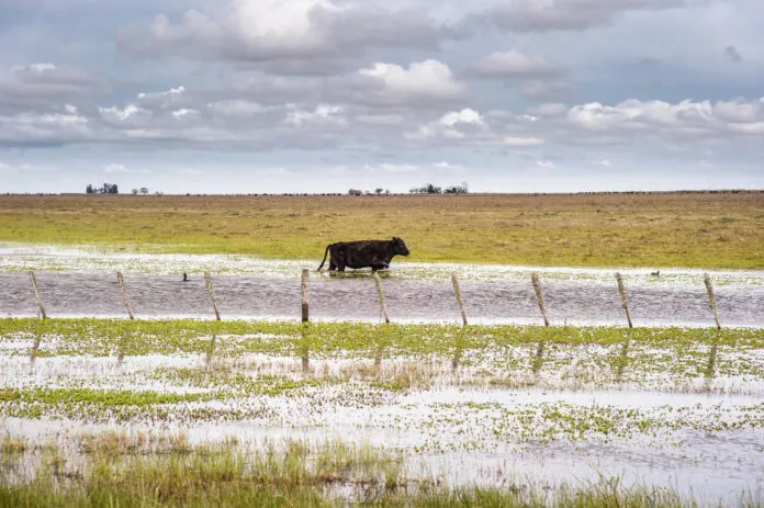 inundaciones-campo-696x463