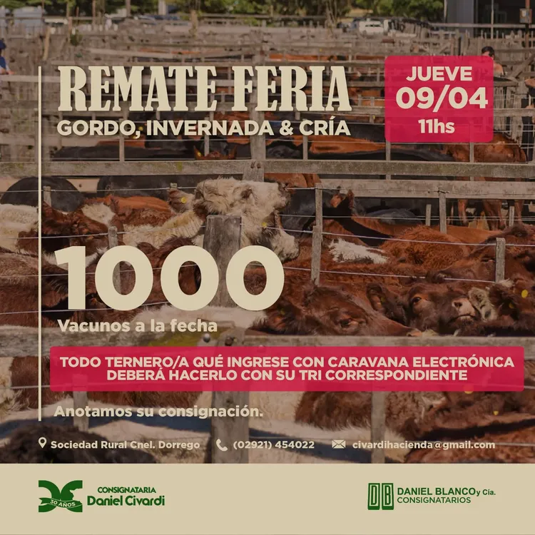 WhatsApp Image 2026-03-30 at 6.48.27 PM