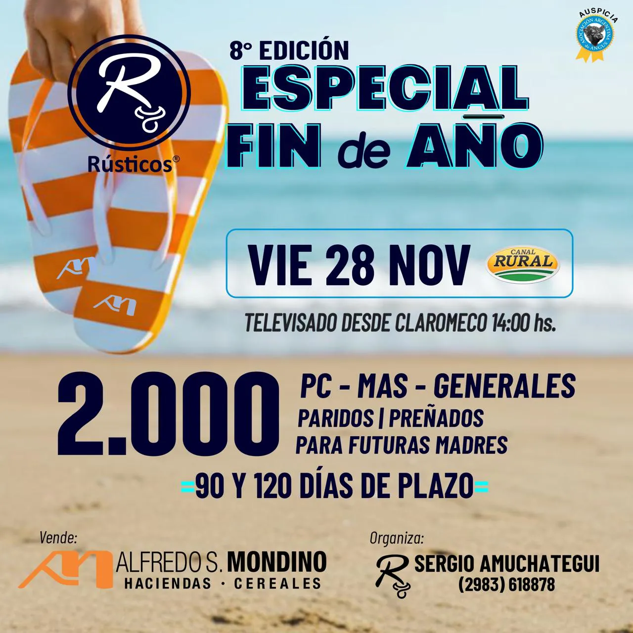 WhatsApp Image 2025-11-26 at 7.07.28 PM