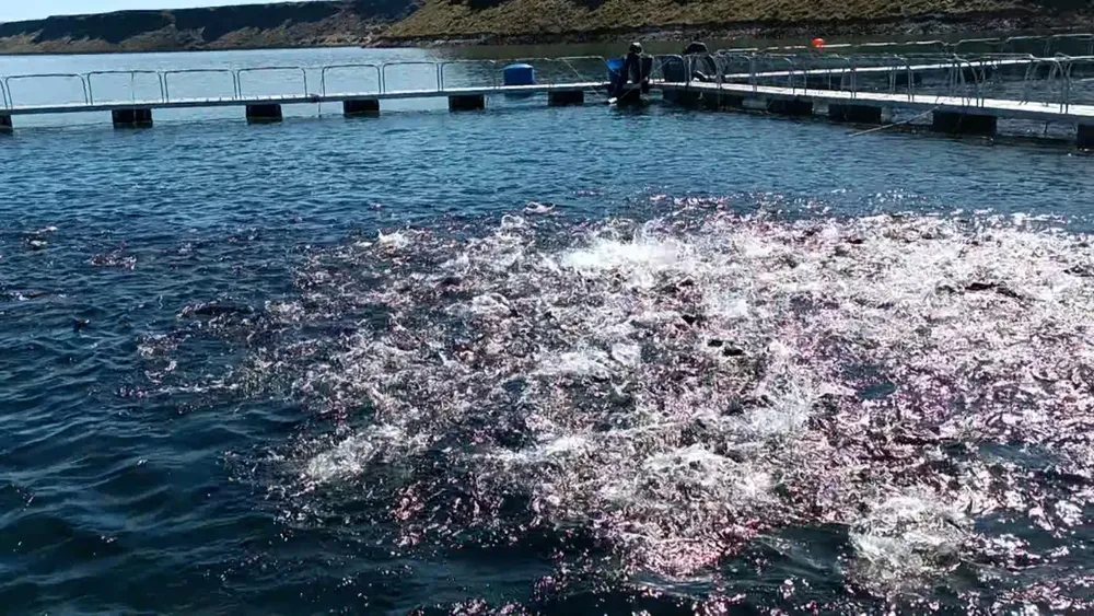 25-10-13_trcuha_arcoiris_1