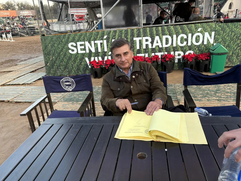 CARLOS OJEA RULLAN - SELECTA