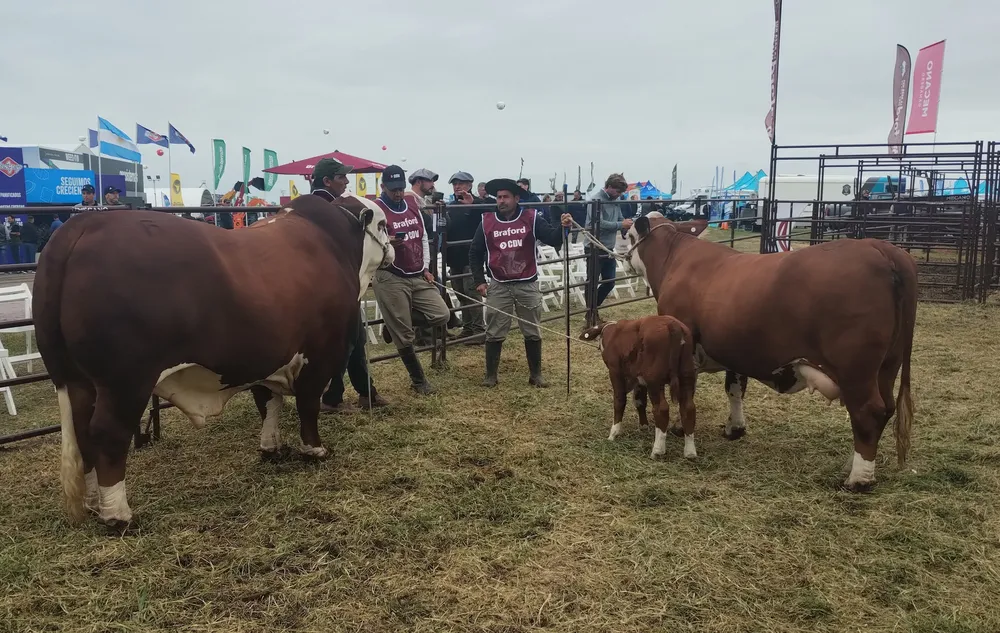 BRAFORD EN EXPOAGRO 2025