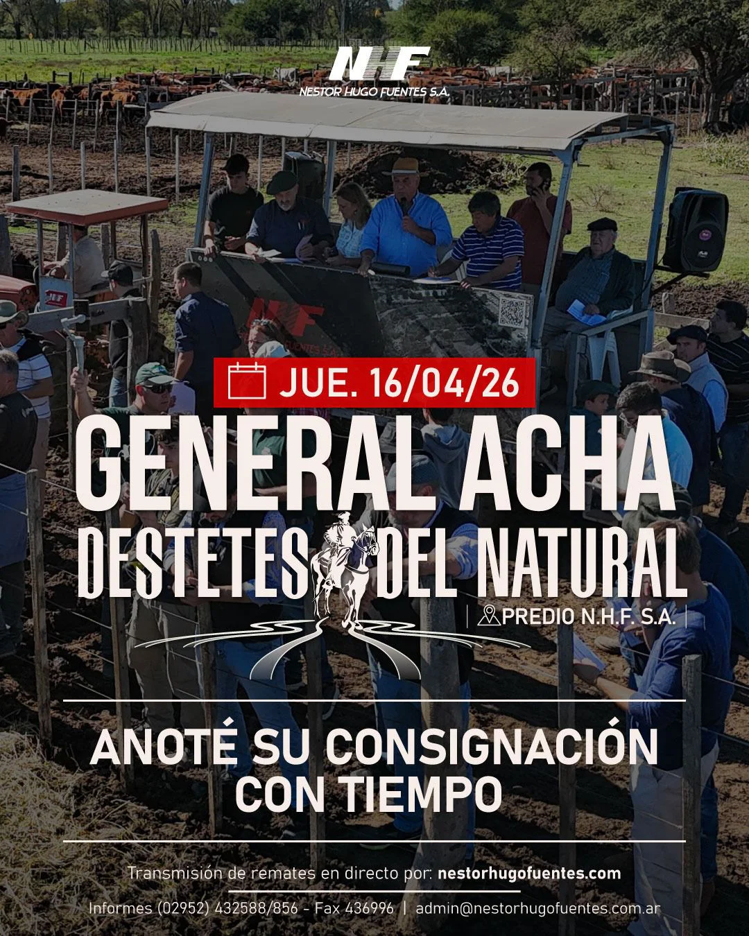 WhatsApp Image 2026-02-11 at 10.48.39 AM