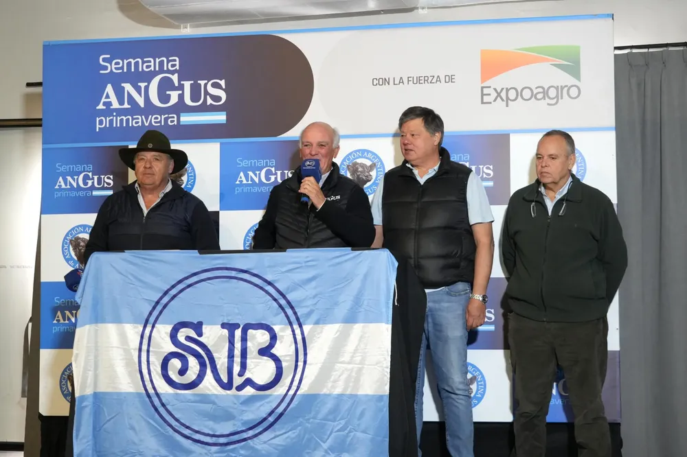 Portada-Remate-SBV-scaled