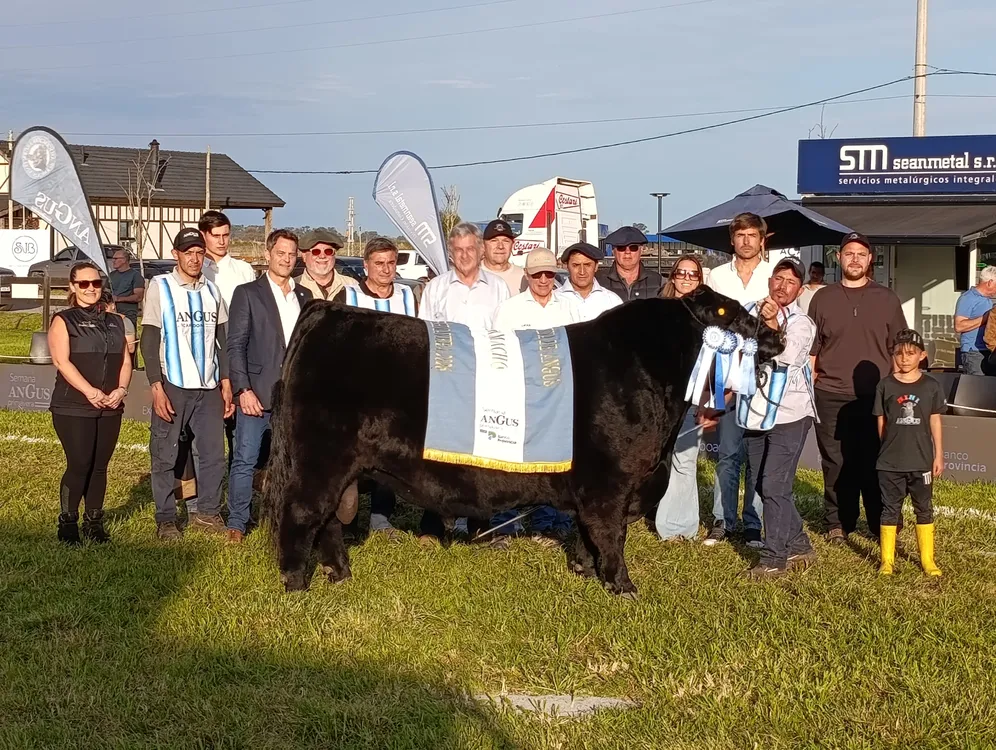 GRAN CAMPEON MACHO - SEMANA ANGUS DE PRIMAVERA 2026