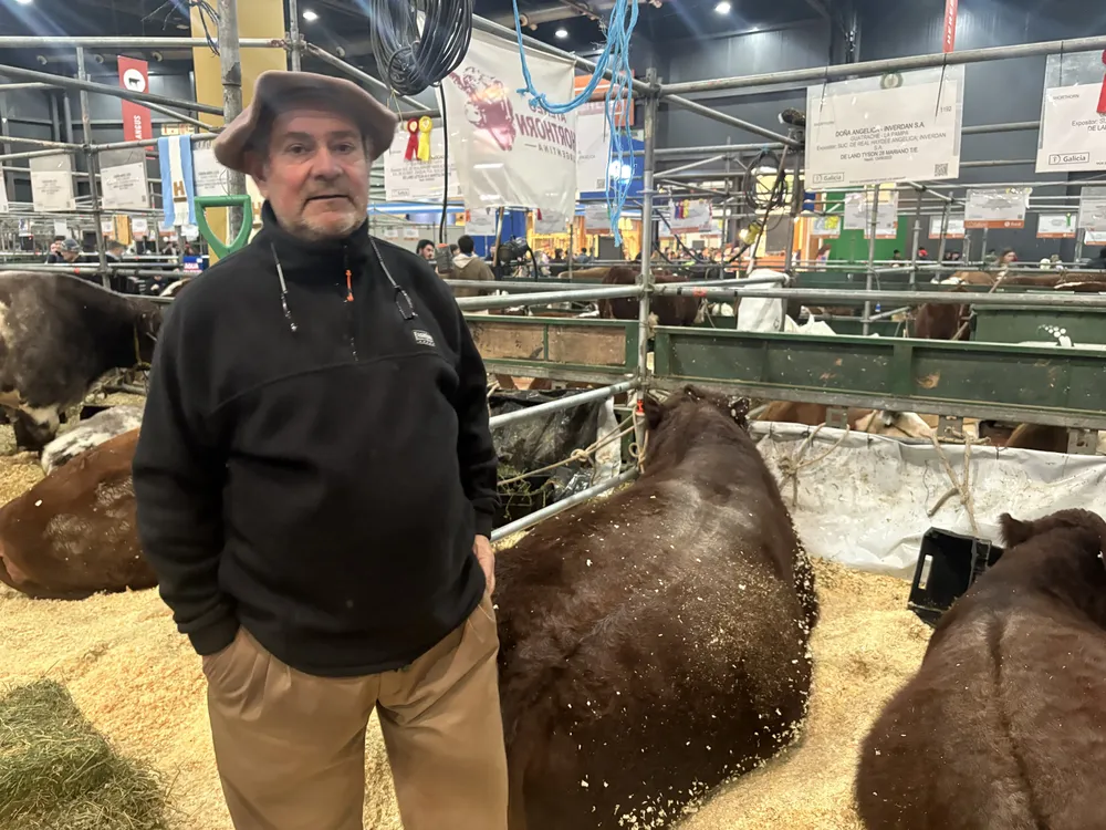 GUSTAVO CAPPELLO - CABAÑA DOÑA ANGELICA - SHORTHORN - EXPO PALERMO 2026