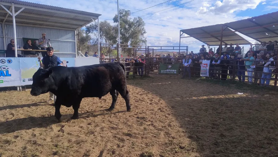 15° Exposición Rural del Alto Valle