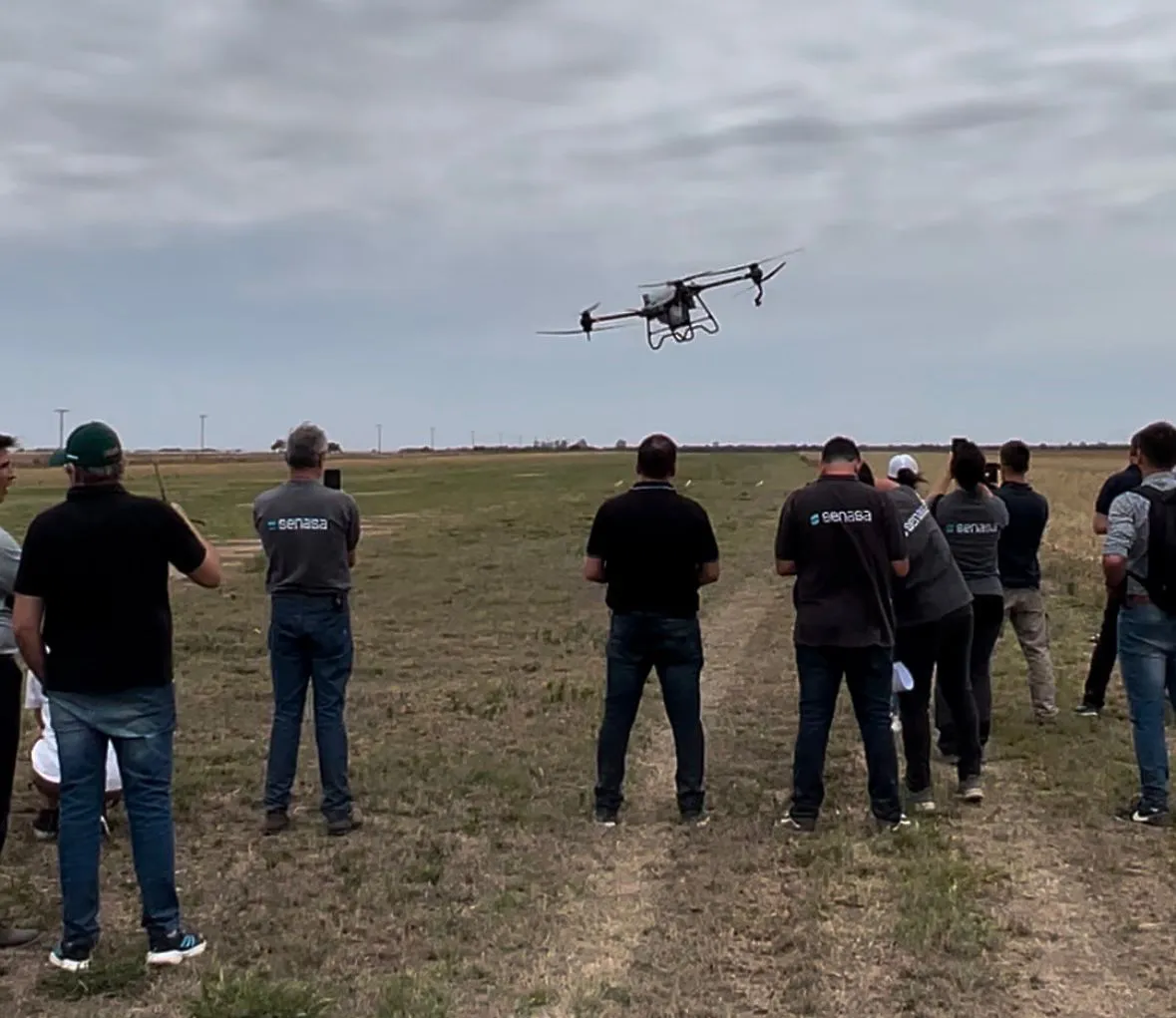 Drone