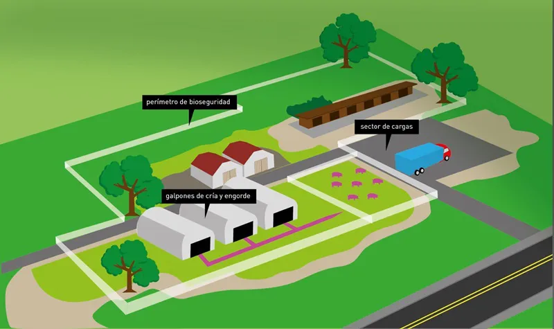 WhatsApp Image 2024-12-06 at 9.53.37 AM