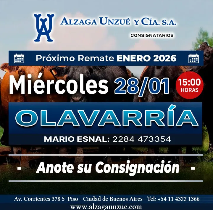 WhatsApp Image 2026-01-26 at 11.05.35 AM