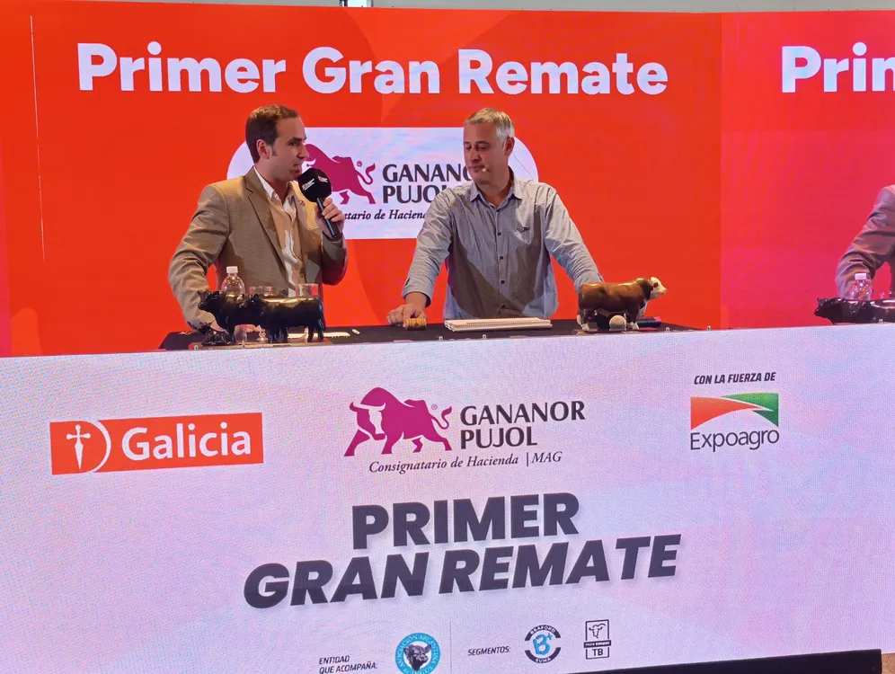 GANANOR PUJOL REMATE