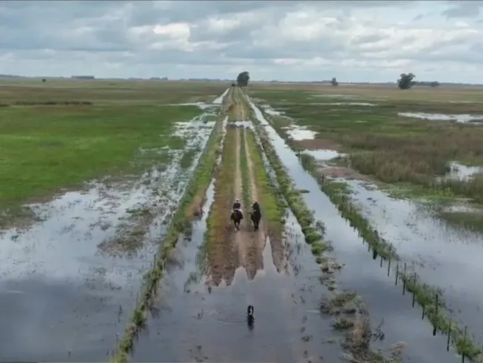 camino-rural-agua-696x523