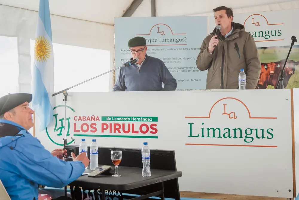 LOS PIRULOS7