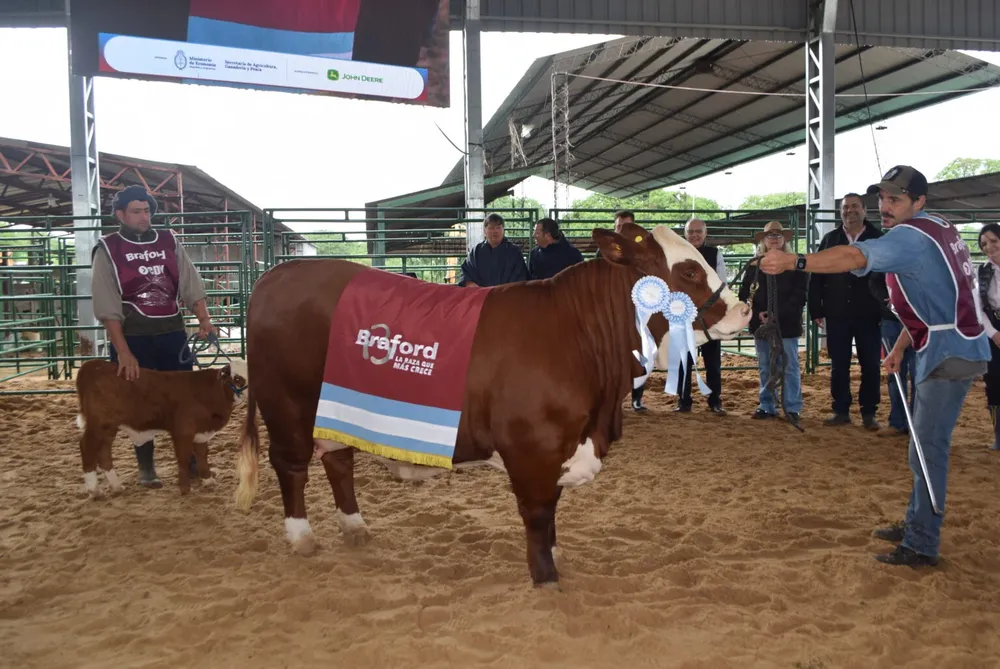 Gran-Campeon-Hembra-Cabana-Las-Mercedes-1536x1027