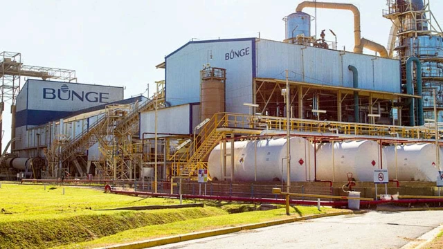 bunge