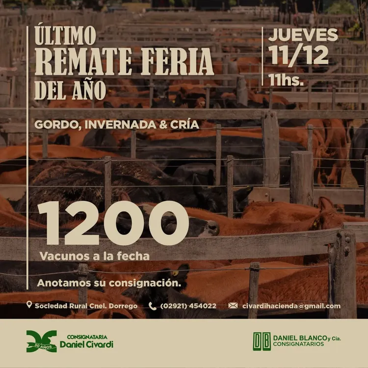 WhatsApp Image 2025-12-04 at 5.14.57 PM