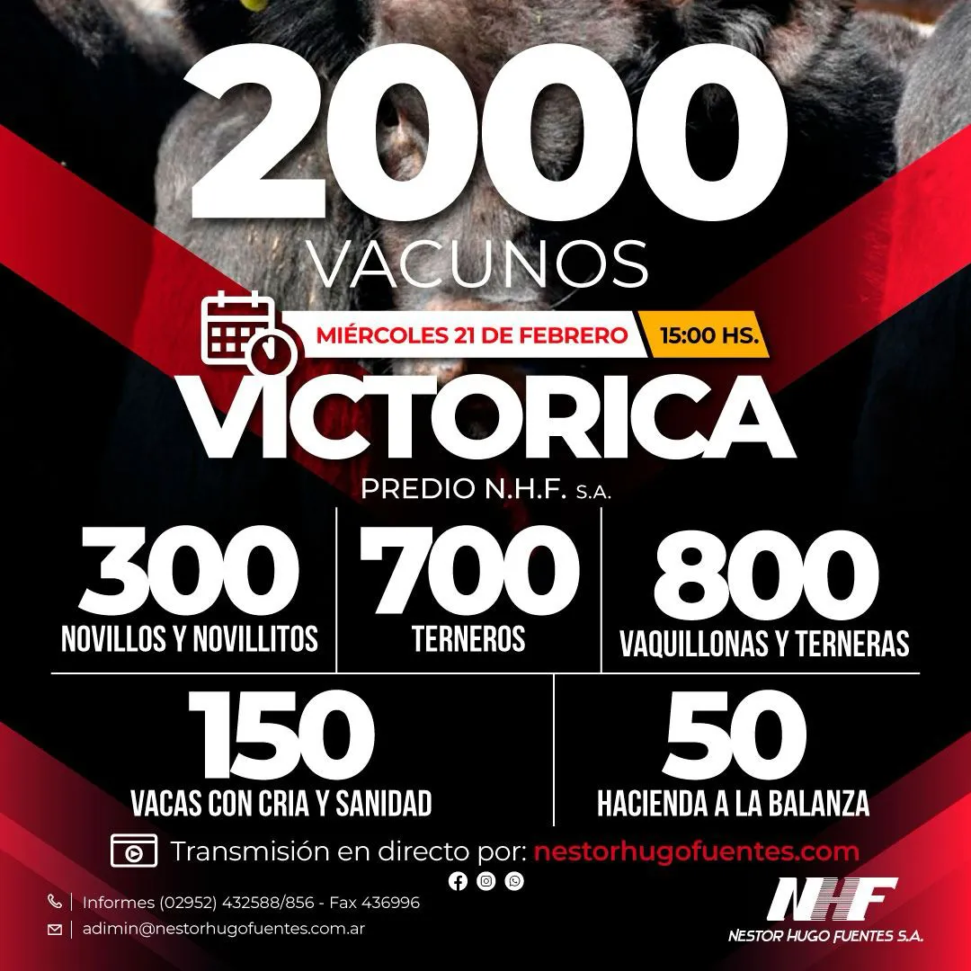 NHF4