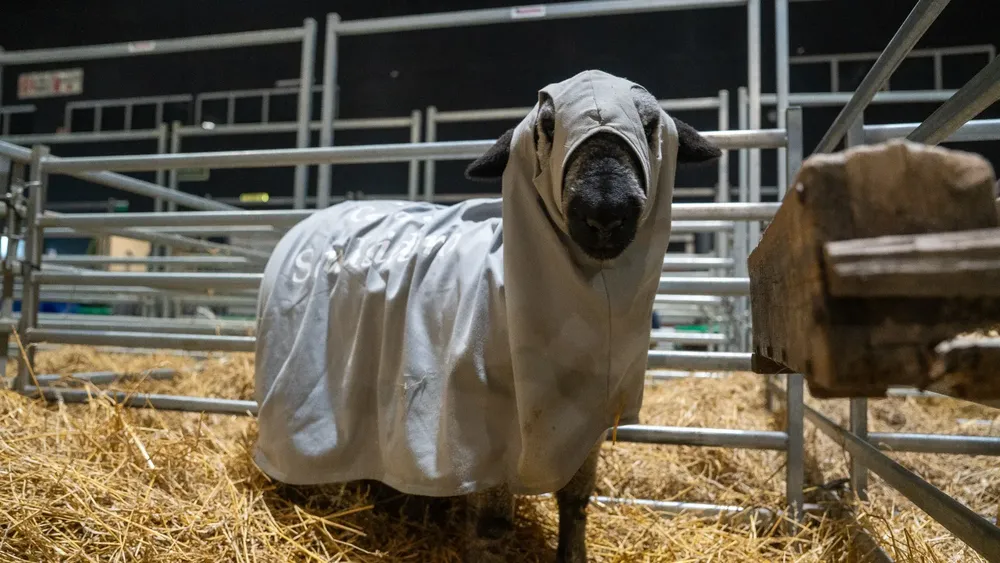 WhatsApp Image 2025-07-17 at 4.33.24 PM