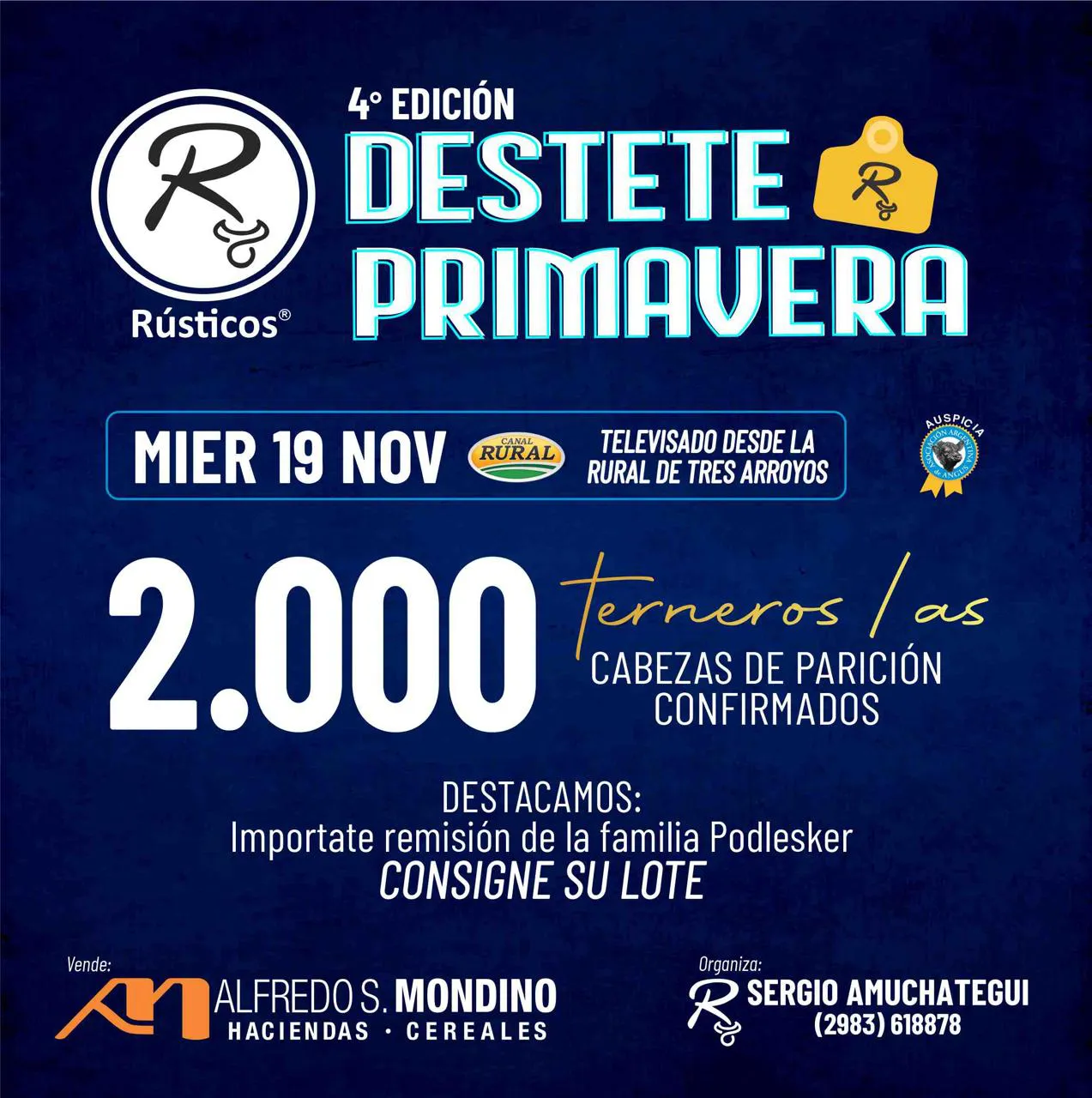 WhatsApp Image 2025-11-08 at 2.52.50 PM