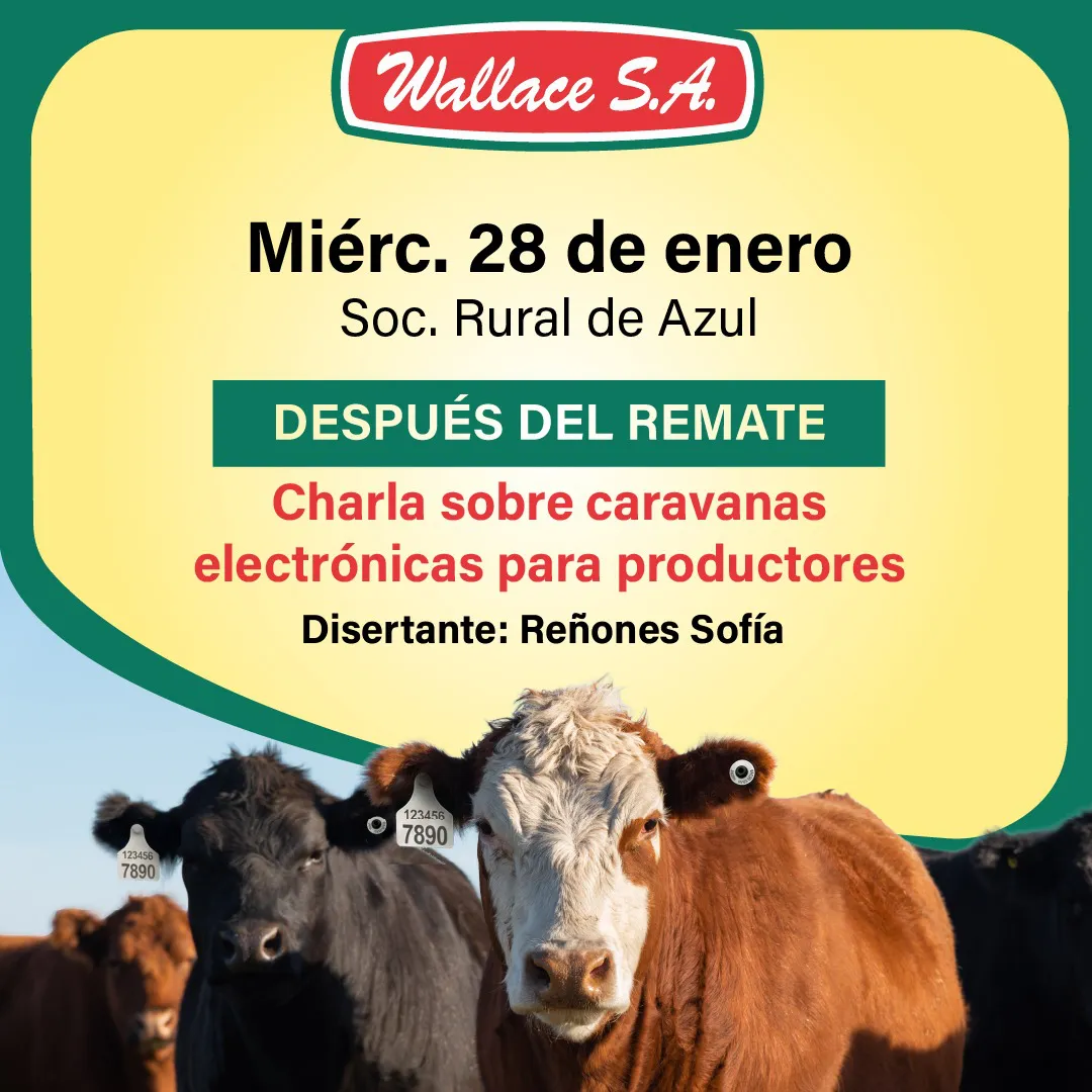 WhatsApp Image 2026-01-26 at 8.58.04 AM (1)